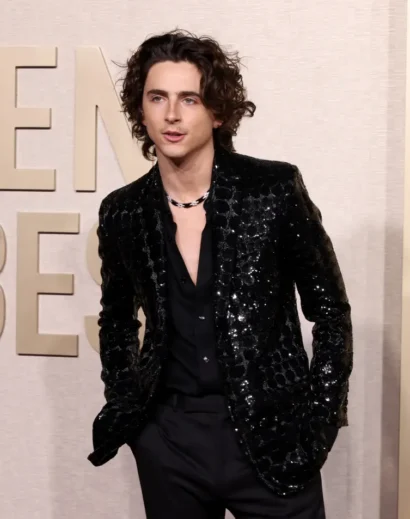 Timothee Chalamet sparkles in sequin jacket at red carpet event in black tuxedo style